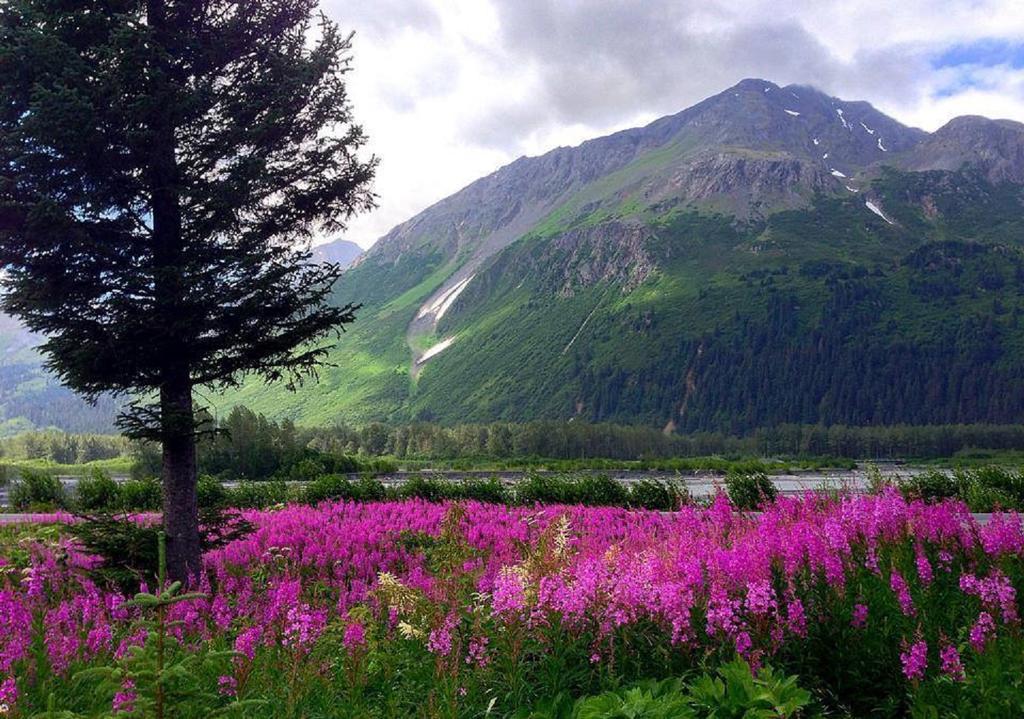 Arctic Paradise B&B Seward Buitenkant foto