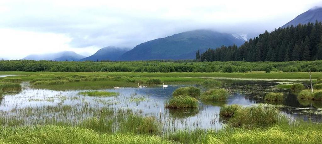 Arctic Paradise B&B Seward Buitenkant foto